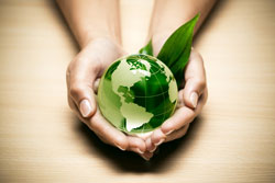 Assmann lifes the Green-IT-Concept The assmann group is proud to be part of a green concept