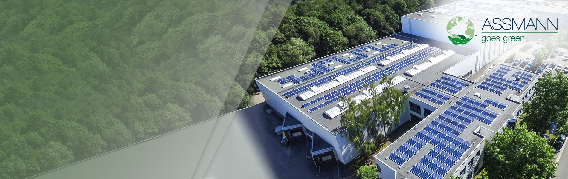 ASSMANN Electronic GmbH | Germany